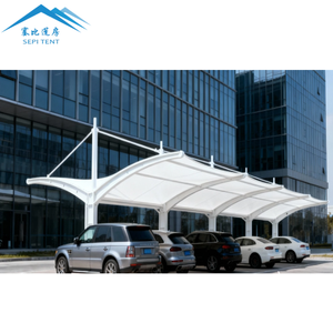 ที่บังแดดรถสองชั้นแบบเดี่ยวที่คลุมโครงสร้างเหล็กที่บังแดดสำหรับจอดรถ - Product Image 4