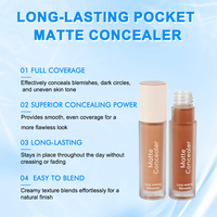Base de Teint Matifiante Soyeuse Effet Blanchissant et Illuminateur, Correcteur en Stick Longue Tenue Imperméable, Ombre à Paupières Haute Pigmentation pour le Visage