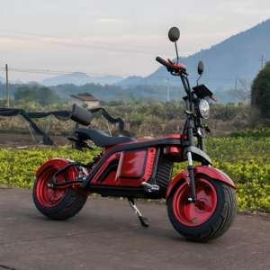 Scooter Eléctrico <span class=keywords><strong>de</strong></span> Golf <span class=keywords><strong>de</strong></span> 3 Ruedas y 2000W, Citycoco Motorizado con Soporte para Bolsa <span class=keywords><strong>de</strong></span> Golf Gratis - Product Image 2