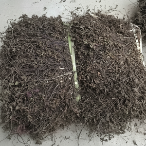 Ingrédients de gelée d'herbe noire de haute qualité 100% naturels Goût sucré Pudding Saveur de noix de coco Sacs en vrac Mme Laura+84 896 611 913 - Product Image 1