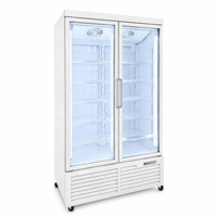 Congélateur vertical commercial à 1/2/3 portes vitrées, vitrine de congélation à basse température pour aliments surgelés, congélateur profond pour supermarché