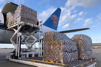 Agente de Transporte de Carga Confiable de China a Egipto, DDP Puerta a Puerta, Envío Aéreo y Marítimo, Agente de Despacho de Aduanas y Almacenamiento para Amazon FBA