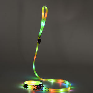 Surtido Typc-c Recargable Light Up <span class=keywords><strong>Dog</strong></span> <span class=keywords><strong>Leash</strong></span> Personalizado Durable <span class=keywords><strong>Led</strong></span> <span class=keywords><strong>Dog</strong></span> Walking Collar Seguridad en la noche - Product Image 2