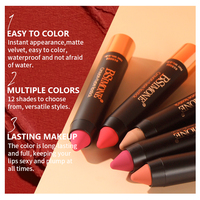Delineador de Labios y Lápiz Labial 2 en 1, Resistente al Agua, Anti Transferencia, Mate, Larga Duración, Nutritivo, 12 Tonos, OEM, ODM, Marca Privada
