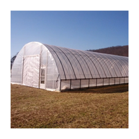 Serre en acier à travée unique pour légumes et tomates, grande serre agricole à structure métallique et film plastique, serre tunnel