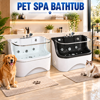 Baignoire pour animaux de compagnie à usage domestique avec système d'ozone pour salon de toilettage professionnel pour animaux