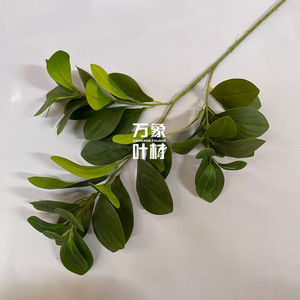 Branche de feuilles d'olivier artificielles, feuillage vert pour la décoration de la maison, des mariages, des hôtels, style nordique - Product Image 1