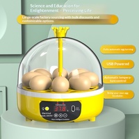Incubateur d'œufs de poule entièrement automatique intelligent mini-incubateur domestique compact pour enfants modèle USB 4 œufs carré