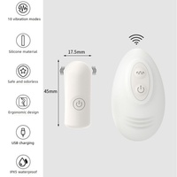 Vibrateur électrique sans fil télécommandé pour femmes, 10 vitesses, étanche, rechargeable par USB, multi-modes, portable, personnel