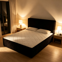 Matelas de sol compressé portable en mousse, confortable pour la chambre à coucher et les espaces intérieurs