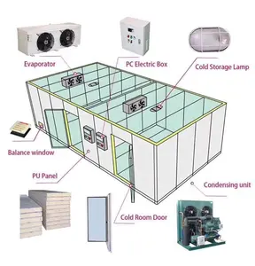 100mm thickness PU panel negative temperature cold room storage freezer with good price