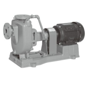 Pompe centrifuge auto-amorçante Ebara Fq4234 40Fq62.2B Corps en fonte grise Chambre de circulation en acier inoxydable 304 Origine Japon - Product Image 2
