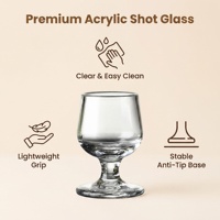 Verres à vin en plastique PC acrylique incassables et originaux, vente en gros d'usine, verres à vin personnalisés pour restaurants