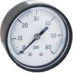 Manomètre standard Y50ZA2 50 mm à fixation axiale, boîtier en plastique - Product Image 1