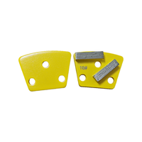 Plaque de meulage diamantée Plaque de meulage à 2 segments pour meuleuses de sol ASL Segments de meulage pour béton Outils diamantés