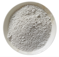 Kaolin de qualité cosmétique 325 Mesh, prix à la tonne, poudre d'argile blanche pour ciment blanc, savon, détergent à lessive