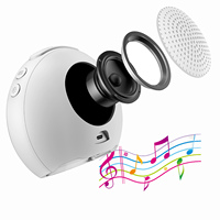 Venta Directa de Fábrica ABIS, Altavoz Inteligente Inalámbrico RGB con 5 Luces LED de Llama y Alexa para Reloj Despertador, Salida de 5W, 8 Horas de Duración de la Batería