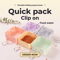 Bol de voyage pliable en silicone personnalisé pour animaux de compagnie, plat de nourriture portable et pliable pour chien, distributeur de nourriture en silicone de qualité alimentaire pour l'extérieur
