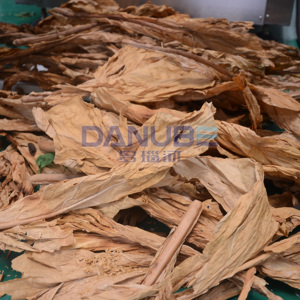 Secadora de Tabaco por Microondas Tipo Banda con Certificación de Calidad, Equipo Deshidratador de Tabaco - Product Image 3