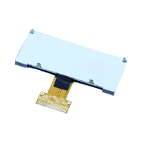 Display grafico LCD di tipo personalizzato 256x64 JHD25664-G32BFW-B STN blu Cog di alta qualità