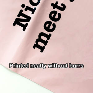 Wholesale Custom Poly Mailer Waterproof Durable Mailing <b>Bag</b> for Apparel and Fashion Packaging - Product Image 3