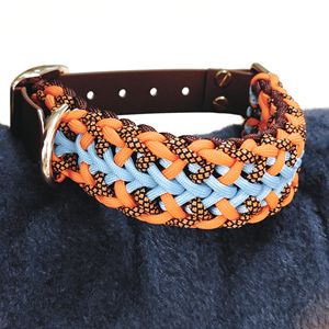 स्टाइलिश आधुनिक डिजाइन के साथ कुत्ते बिल्ली कॉलर स्टाइलिश पैटर्न प्रिंट लेश नायलॉन वेबबिंग रोशनी में बनाया गया - Product Image 1