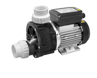 Pompe de bain à hydromassage LX WM100 0,5hp-1,2hp