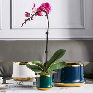 Керамические мини-горшки и кашпо в корейском стиле OEM, расписанные вручную, для суккулентов, оптом, дешевые цветочные горшки оптом - Product Image 2