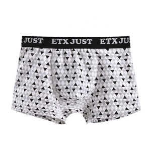 Custom LOGO Printed Boxer Underwear For Teenage Boys - Product Image 6