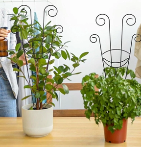 Direct Vietnam Usine Hoya <span class=keywords><strong>Treillis</strong></span> Clair Conception Feuille Artificielle Assemblage Facile Fer Filet <span class=keywords><strong>De</strong></span> Jardin Peinture Vente Populaire - Product Image 4