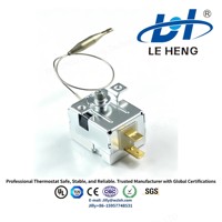 Module de contrôle de thermostat WHD-320H capillaire 200 mm en acier inoxydable pour équipement de restauration et unité de chauffage commerciale