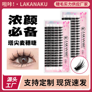 Extensions de cils professionnelles Lakanaku effet 3D imitation vison, bande complète pour femmes - Product Image 4