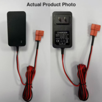 Cargador de Batería de Plomo-Ácido de 6V 1A para Coche de Juguete para Niños, Enchufe Rojo Personalizado para Vehículo Eléctrico, Pieza de Repuesto, Seguridad Estable, Fabricación OEM