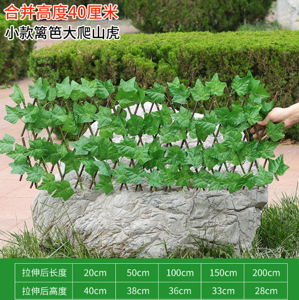 #8-40cm grande feuille