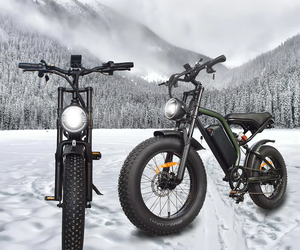 Bicicleta Eléctrica de Montaña para Adultos, 48V 1000w, Batería de Iones de Litio de Alto Rendimiento, 60km de Autonomía - Product Image 3