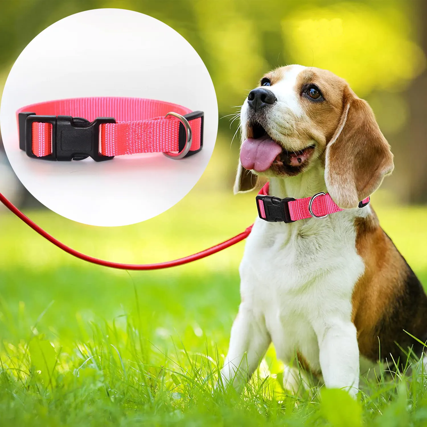 Vendita calda collare per cuccioli personalizzato collare per cani in Nylon resistente collare per collo di lusso collari per cani