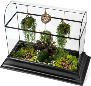 Nouveau Style Plante Carrée Terrarium Conteneurs <span class=keywords><strong>En</strong></span> Verre <span class=keywords><strong>Kit</strong></span> De Jardin Serre Au Sol pour Plantes D'orchidées Grande Croissance Pour La Maison Intérieure - Product Image 5