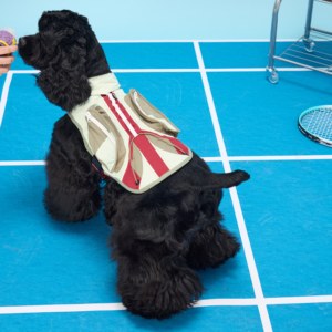 Chaleco Refrigerante de Doble Uso, Seco y Húmedo, para Alivio del Calor, Duradero, Delgado, Ecológico, de Poliéster, para Perros <span class=keywords><strong>Basset</strong></span> <span class=keywords><strong>Hound</strong></span> - Product Image 2