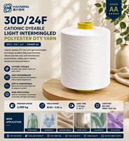 Fil de polyester DTY cationique teignable de qualité AA 30D/24F, blanc brut, haute ténacité, pour tricot, tissage, vêtements de sport et dentelle