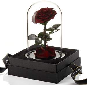 Pequeño Príncipe estabilizado, Big <span class=keywords><strong>Bella</strong></span> Beast, Rosa Stem Real para siempre, cúpula de cristal eterna, flores preservadas - Product Image 2