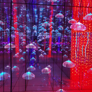 <span class=keywords><strong>Labyrinthe</strong></span> de miroir aire de jeux intérieure et extérieure parc d'attractions <span class=keywords><strong>labyrinthe</strong></span> de miroir à vendre - Product Image 2