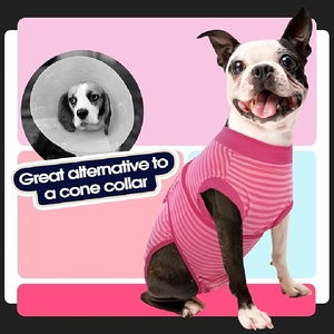 HIPHOPPET - Chalecos Fisiológicos Personalizados para Perros, Prácticos, de Nailon, Plegables, Reutilizables, Lavables, para la Menstruación, para Perros y Gatos - Product Image 4