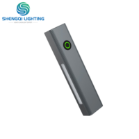 Mini lampe torche LED infrarouge P100 RL, 600 lumens, étanche IP65, en aluminium, rechargeable par USB, lampe stylo, camping, urgence