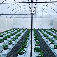 Serre tunnel à simple travée pour la ventilation naturelle agricole, avec ventilation supérieure, pour usage tropical