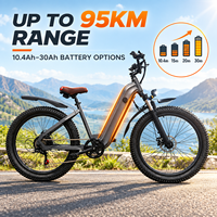Vélo Électrique Fat Bike Personnalisable Chine, Moteur Brushless, Longue Autonomie 75 Miles, Batterie 48V 60V, Freins à Disque Doubles, Noir