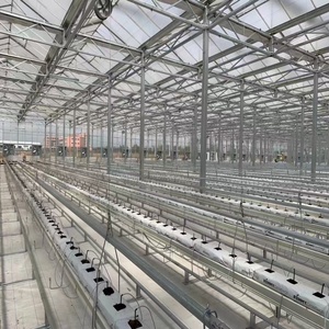<span class=keywords><strong>Serre</strong></span> en verre automatisée pour l'agriculture verticale, <span class=keywords><strong>serre</strong></span> de plantation à haute densité avec système de convoyeur - Product Image 5