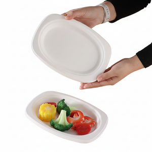 Assiette ovale en bagasse de 9 pouces, biodégradable, compostable, blanche, pour la restauration, vente en gros - Product Image 6