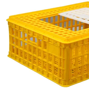 Maintenance free heavy duty plastic 750*550*270 mm Snap-lock self-locking Broiler Transport Cages for chickens