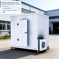 Contenedor Refrigerado Personalizado de 20 y 40 Pies, Congelador Móvil, Cámara de Congelación Rápida, Cuarto de Refrigeración para Carne y Pescado