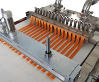 Ligne de traitement automatique d'aliments pour animaux secs et humides, de bandes de viande pour animaux, de nourriture pour animaux de compagnie